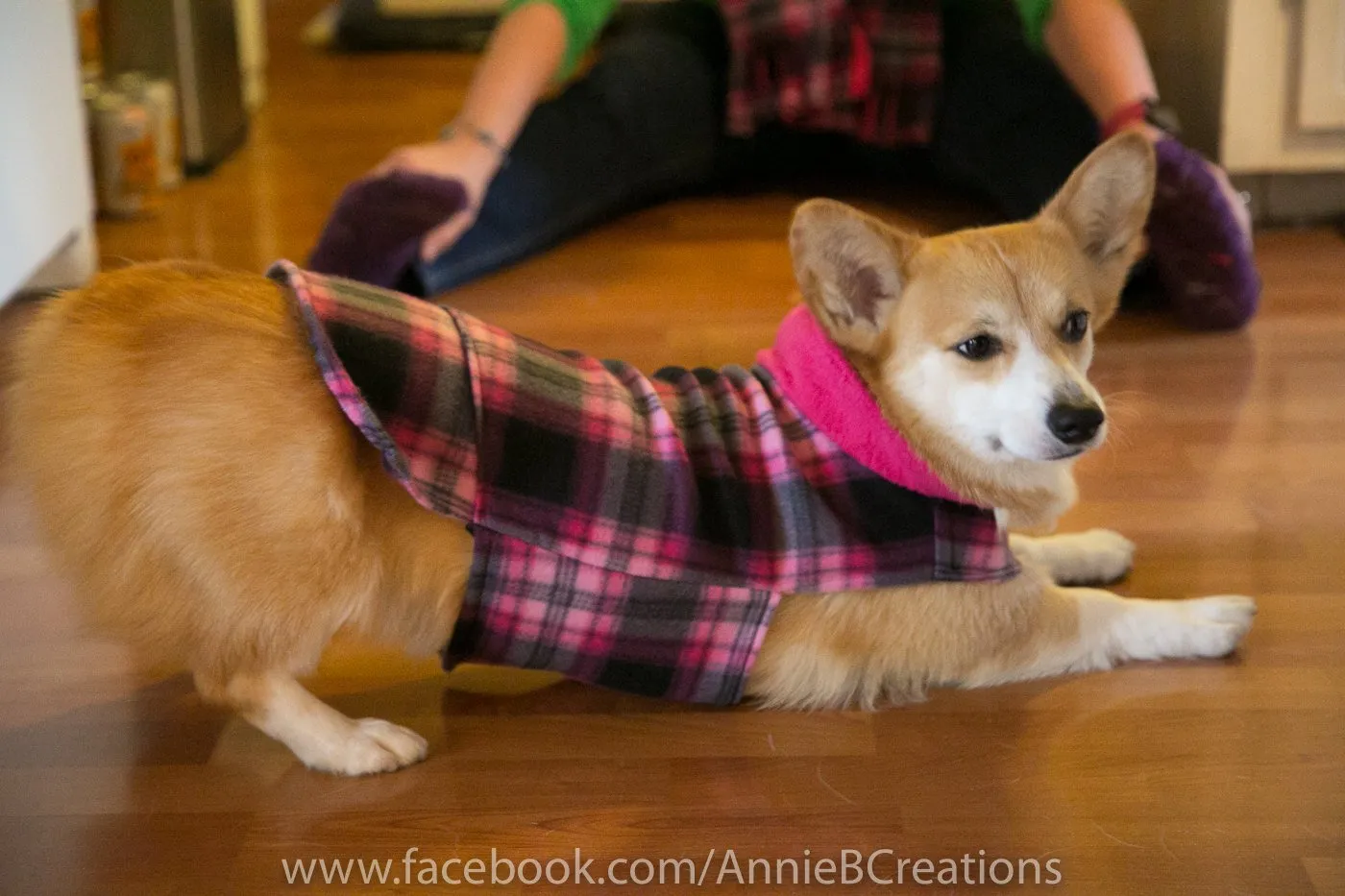 Corgi Fleece Sweater