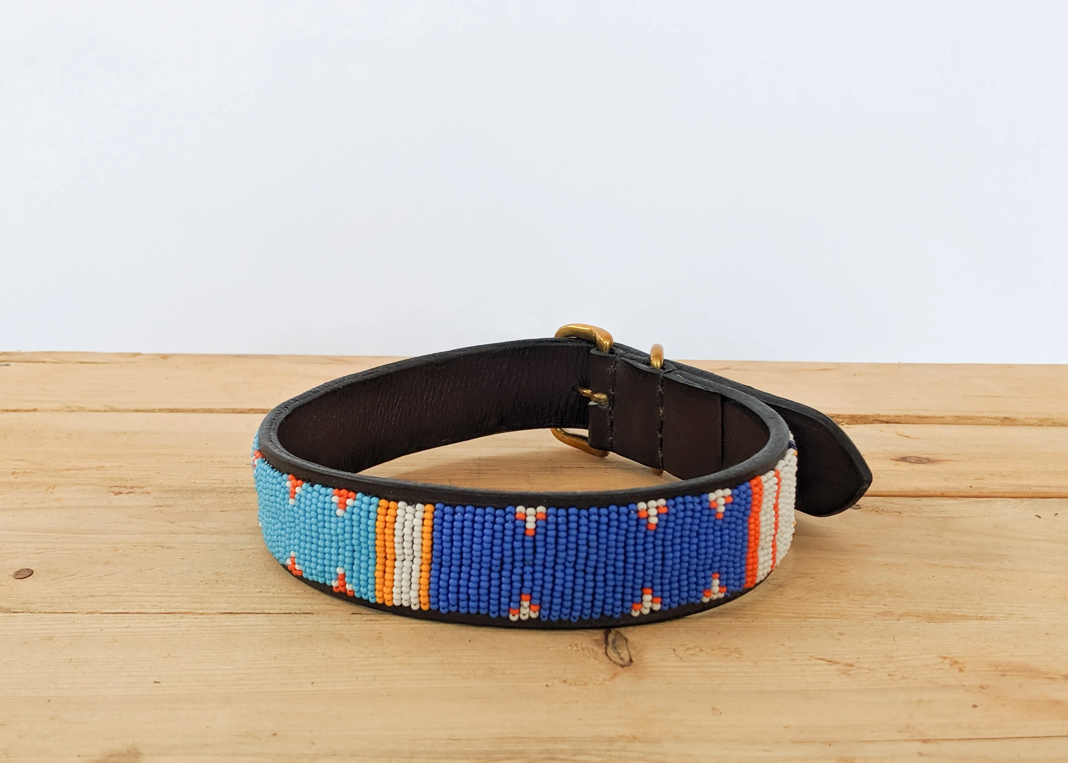 Fisi Dog Collar