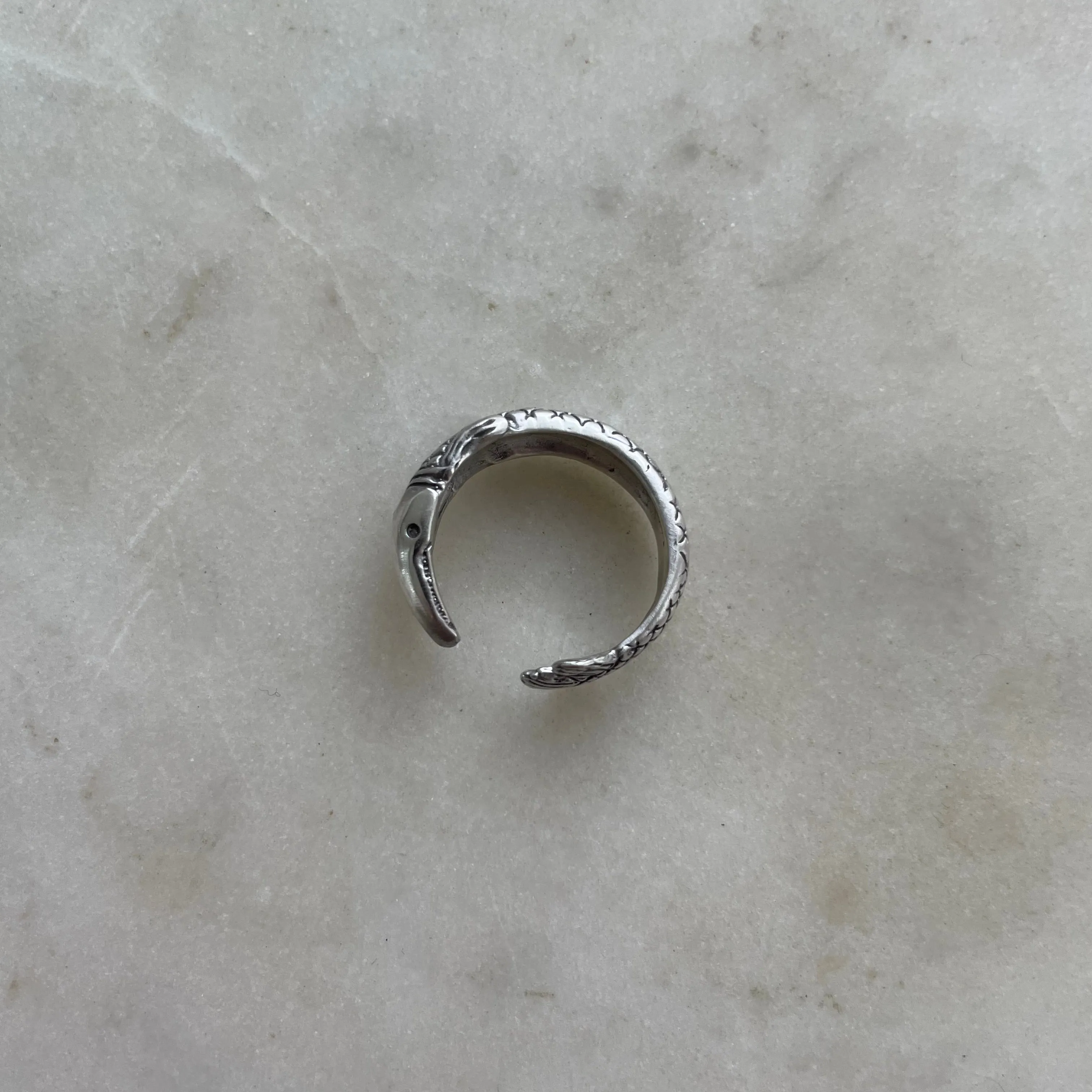 GARFISH RING