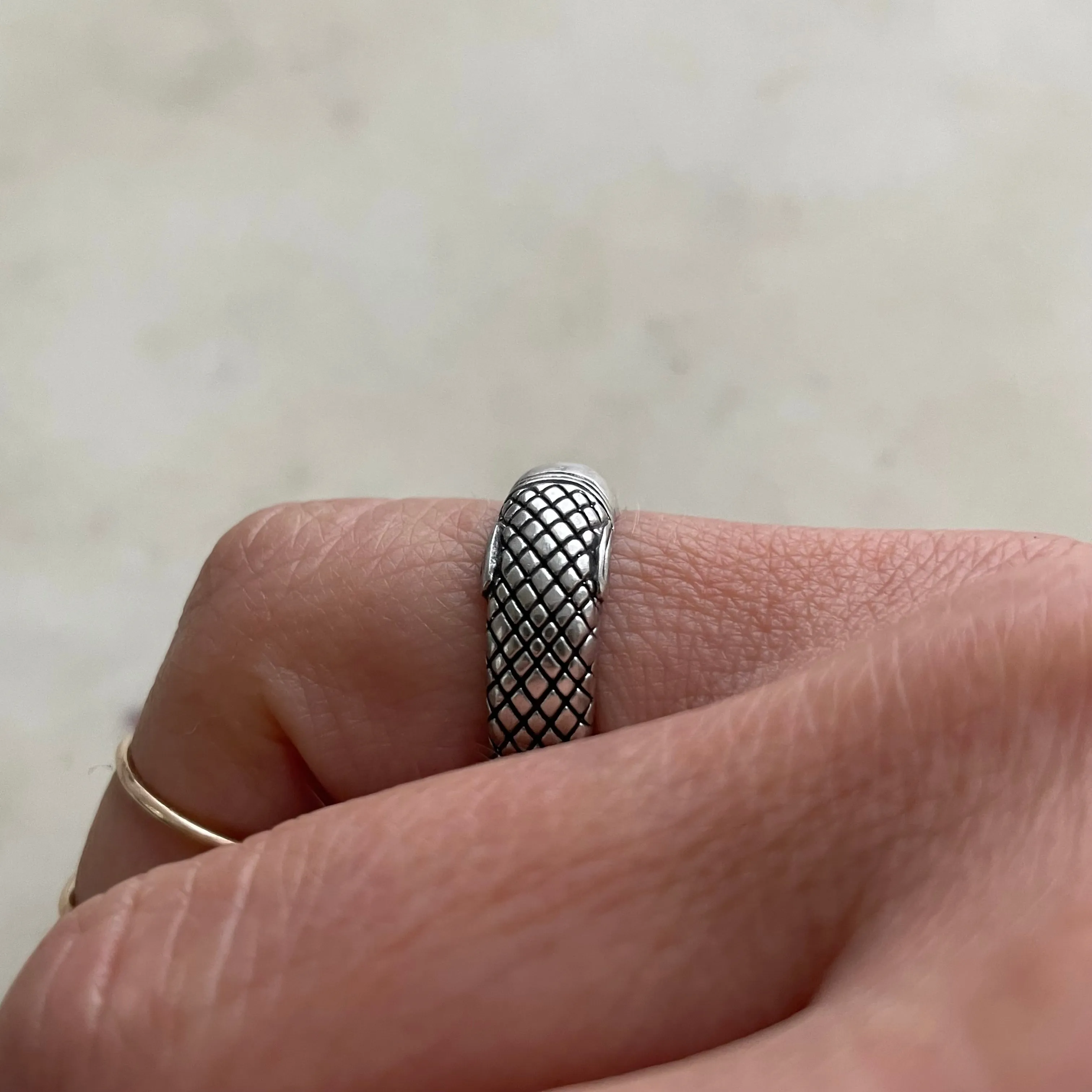 GARFISH RING