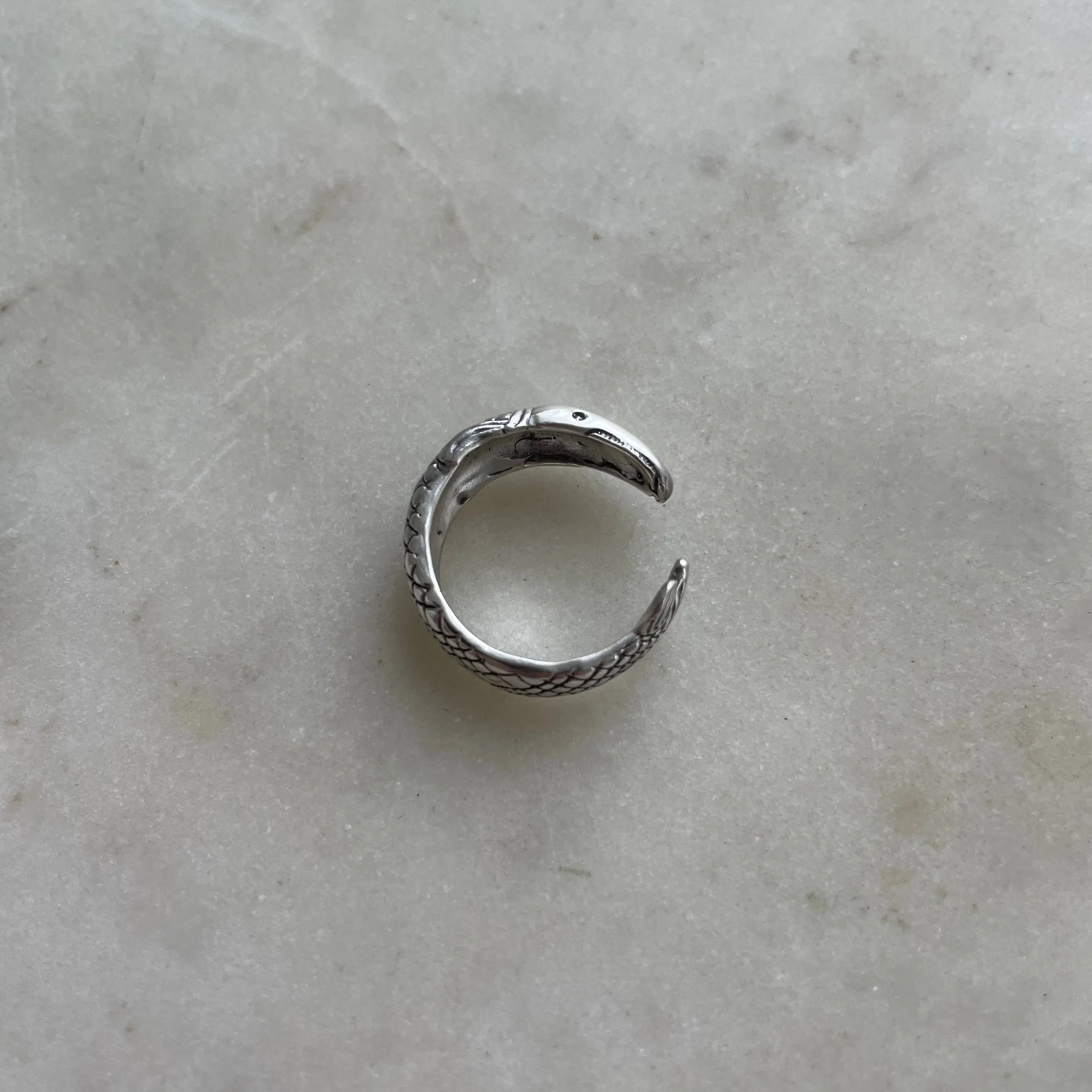 GARFISH RING