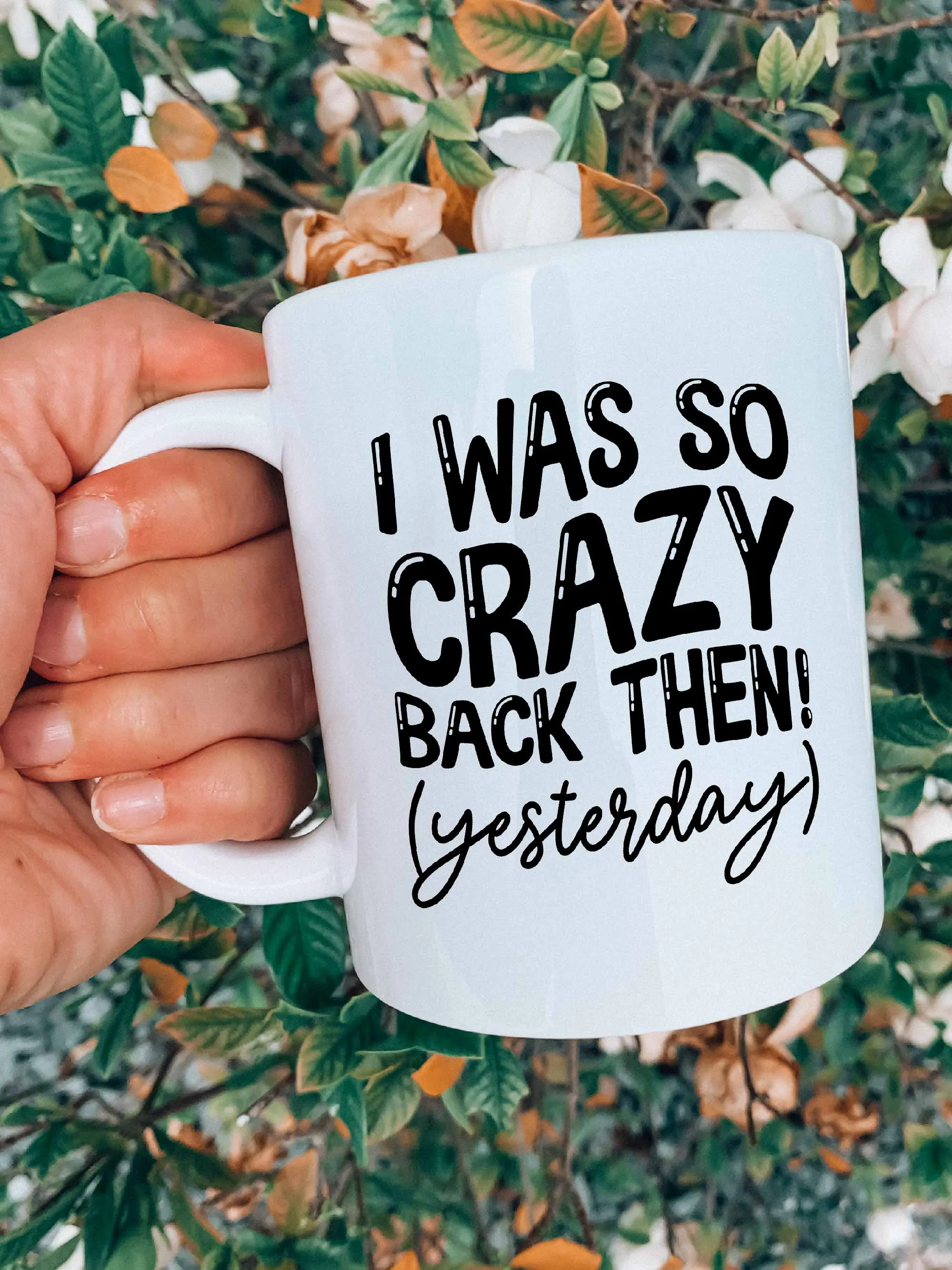 I Was So Crazy Back Then! (Yesterday) Mug