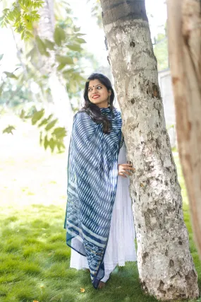 Kaisori Indigo Chanderi Dupatta - Teer boota