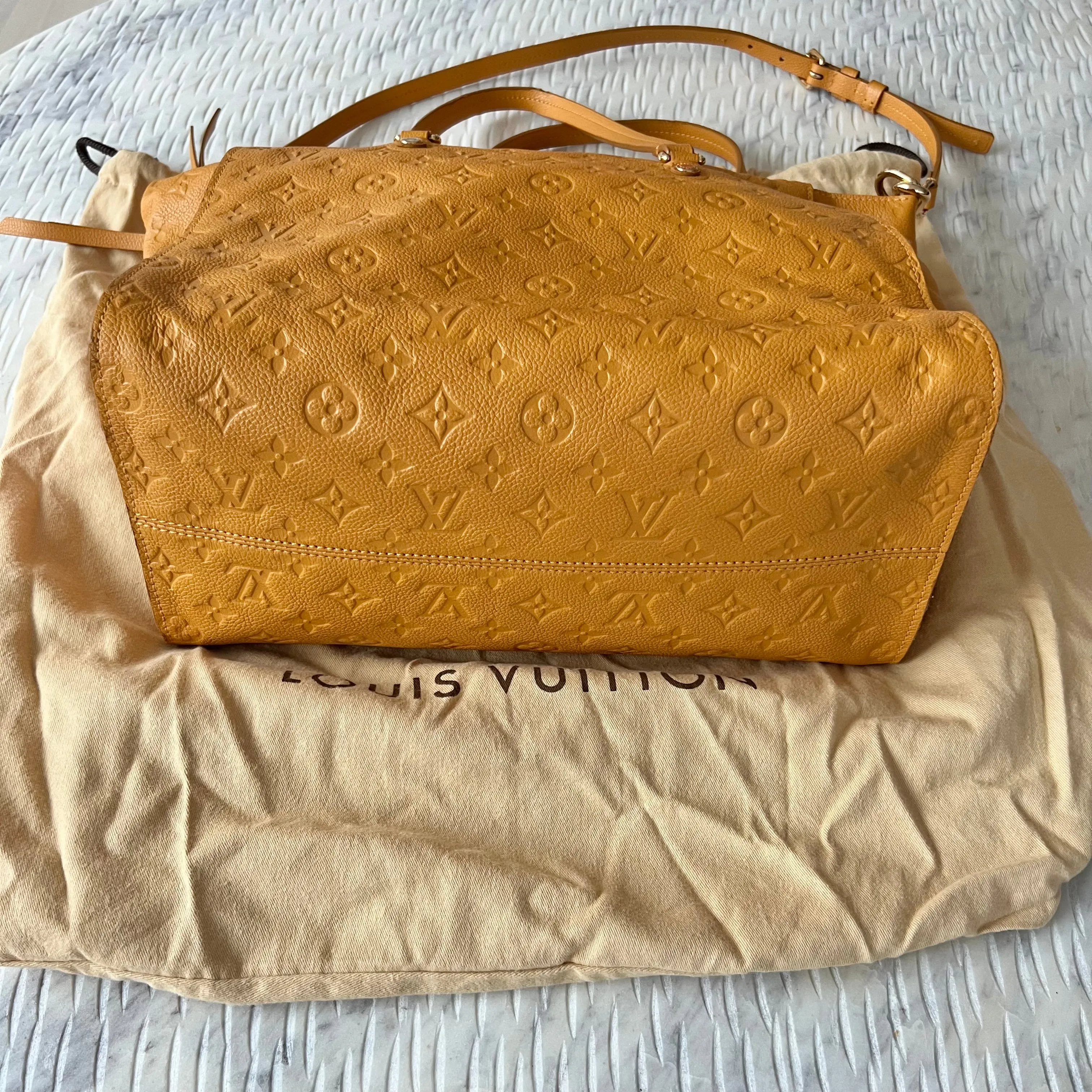 Louis Vuitton Lumineuse Bag