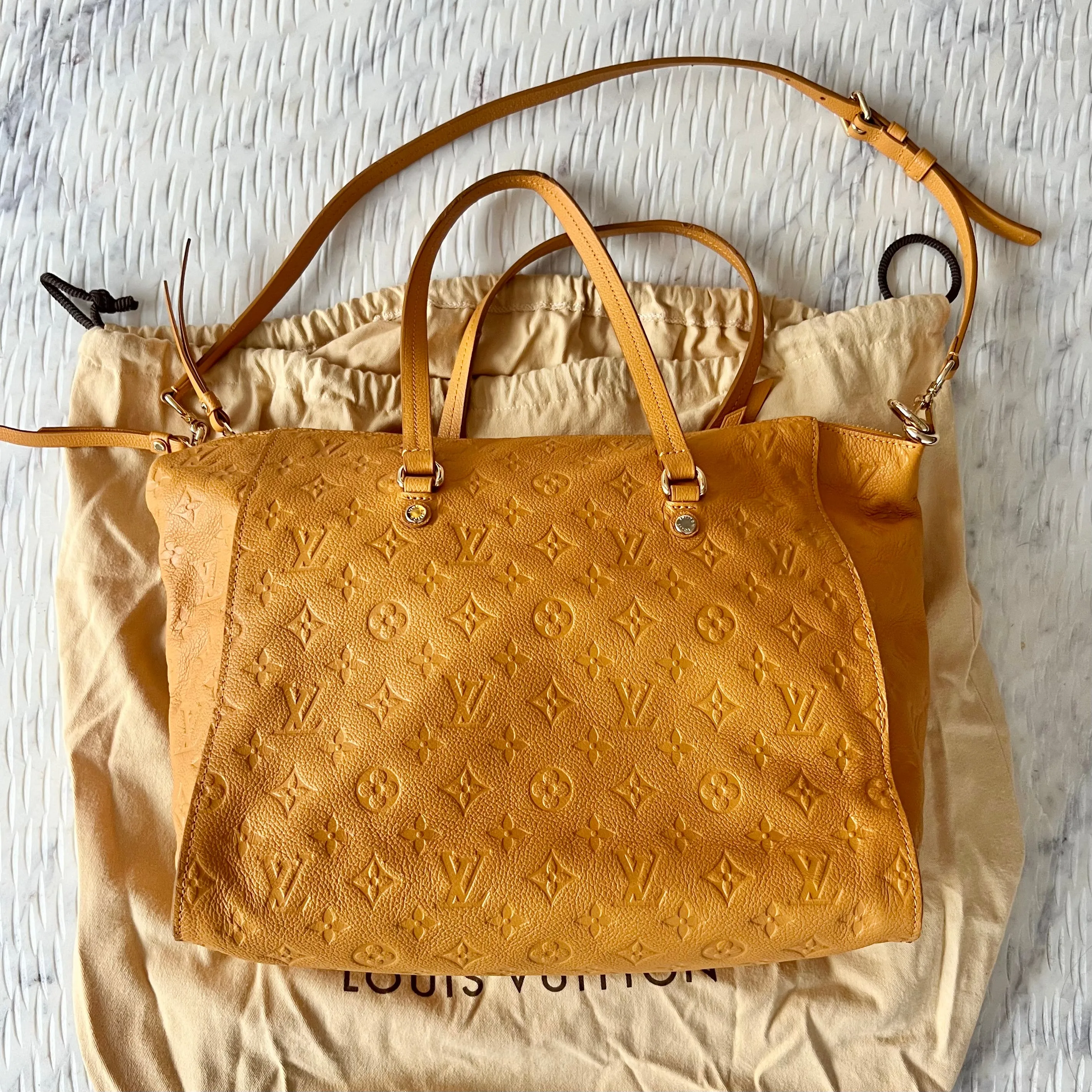 Louis Vuitton Lumineuse Bag