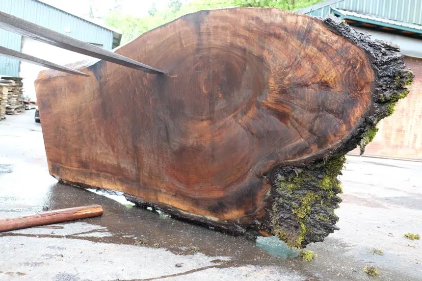 Oregon Black Walnut Slab 050623-03