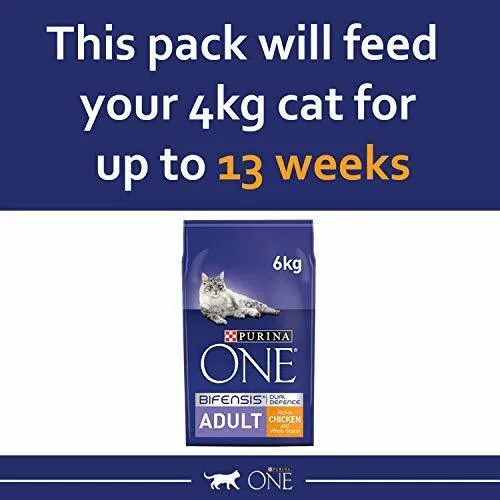 Purina ONE Adult Cat with Chicken & Wholegrains 6 kg