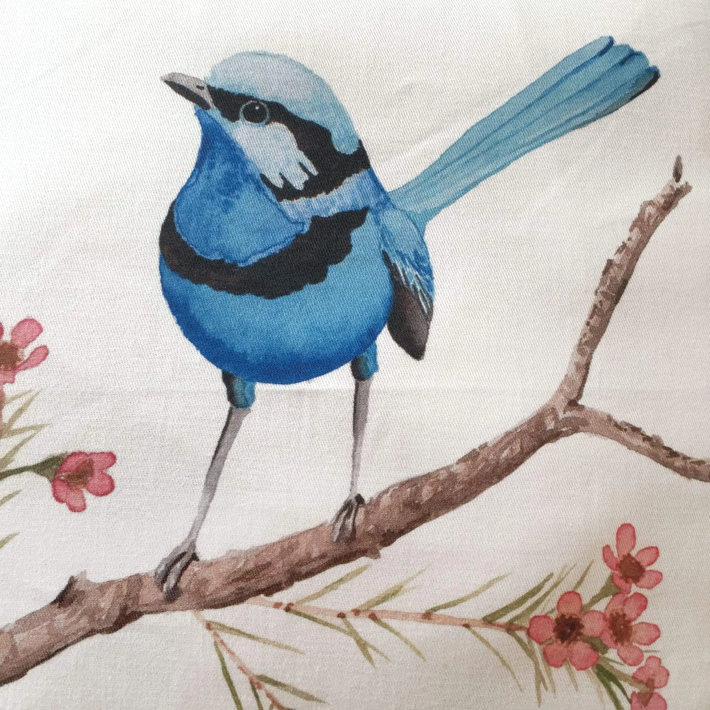 Splendid Blue Wren Cushion Cover Cotton Drill