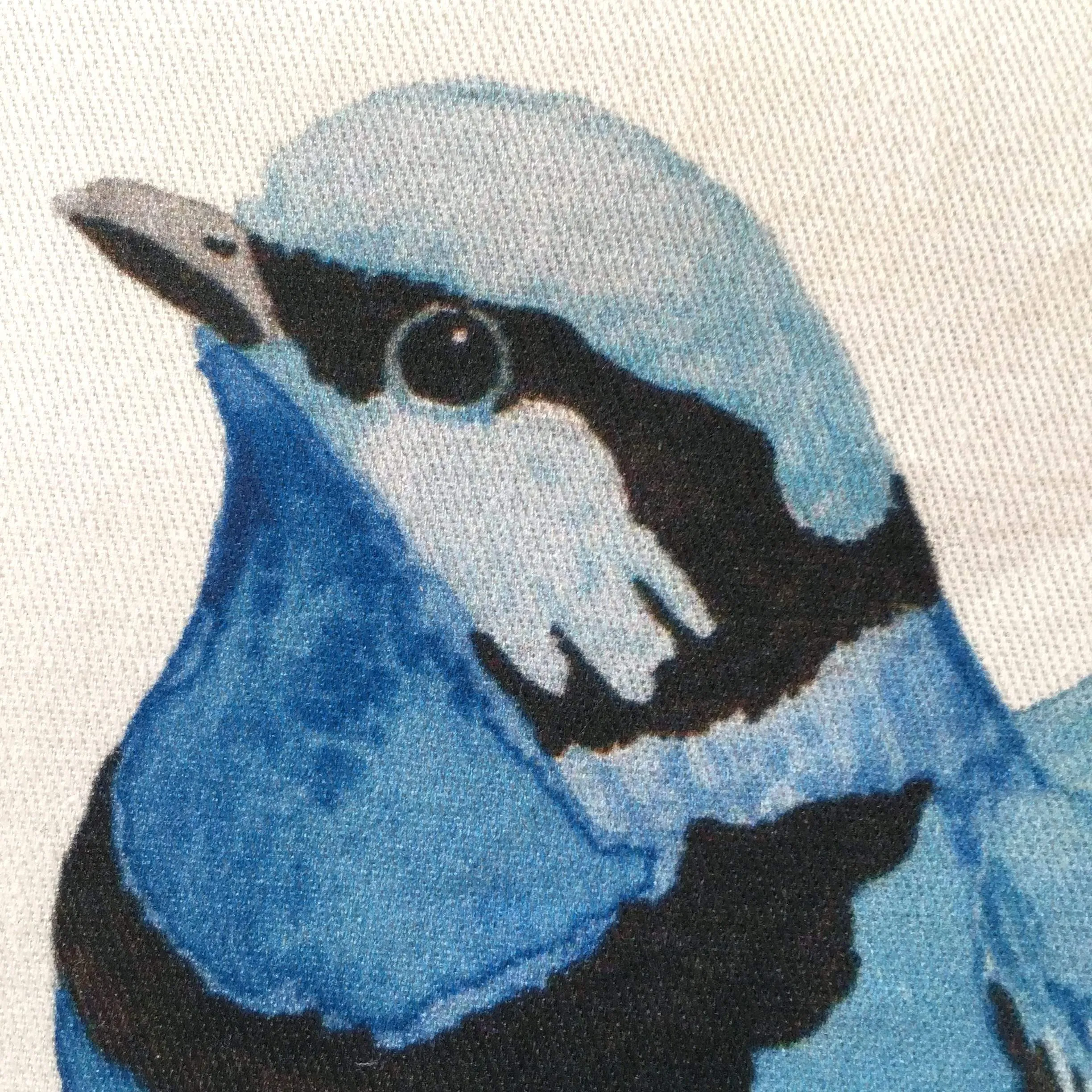 Splendid Blue Wren Cushion Cover Cotton Drill