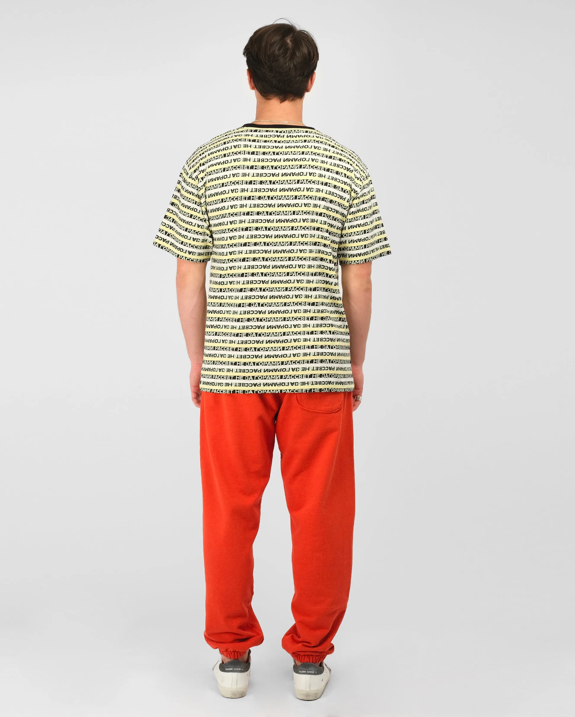 STRIPED JACQUARD T-SHIRT KNIT / YELLOW